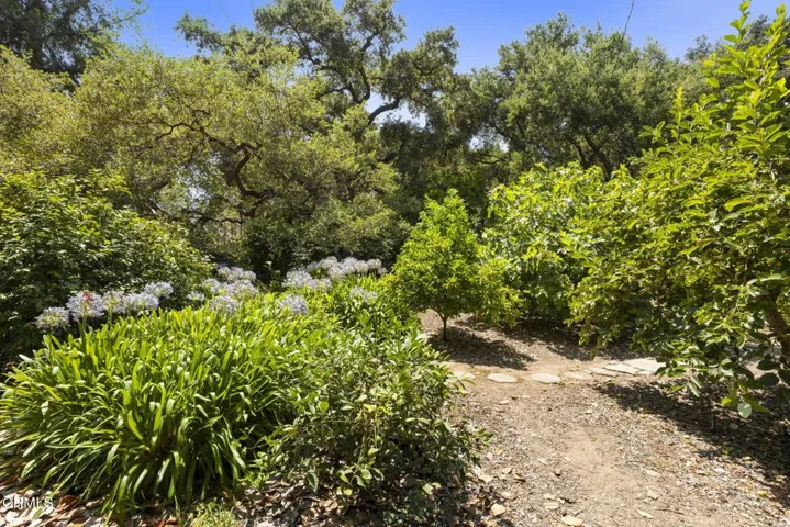 65-web-or-mls-1A1A5728