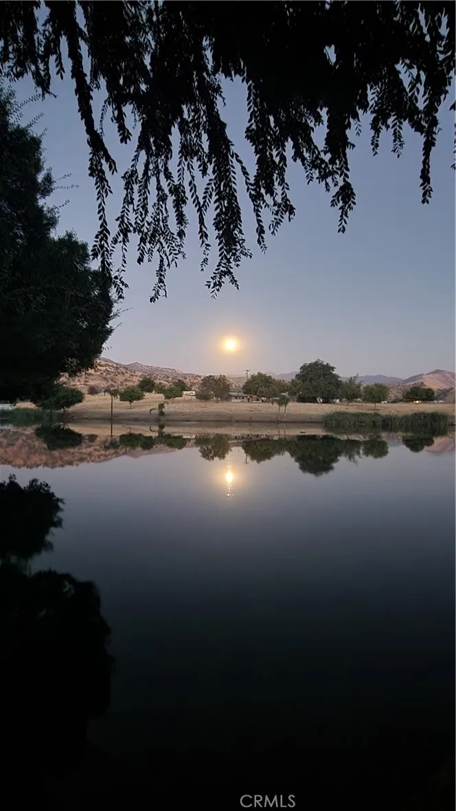 Moonlit Pond