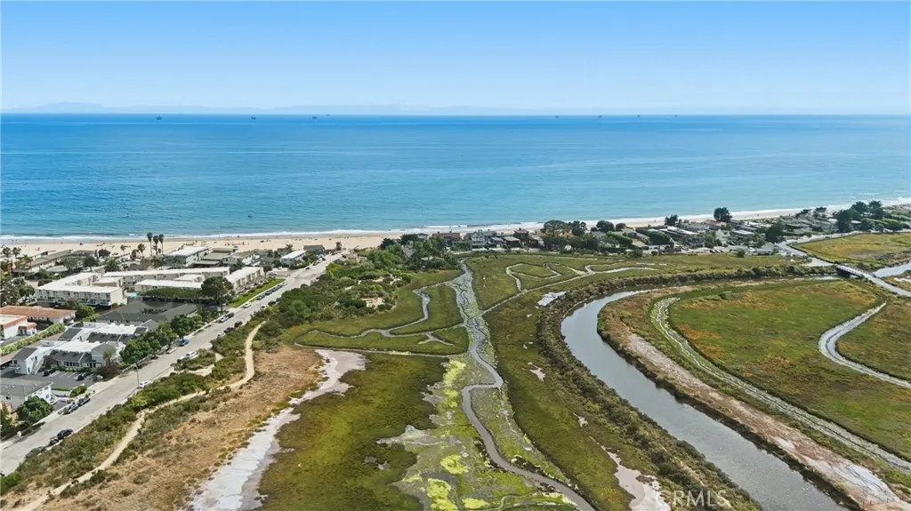 Salt marsh