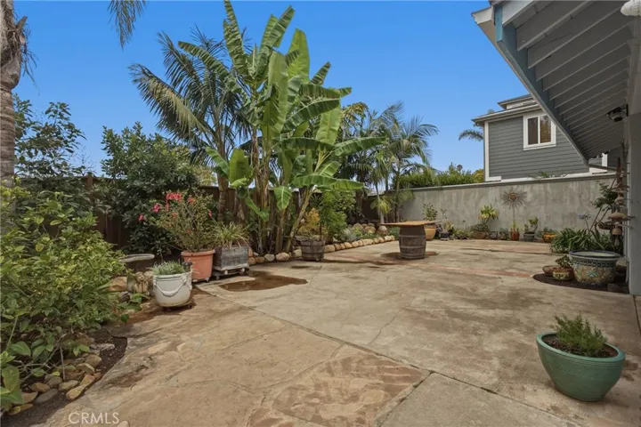 Beautiful Back Yard with 2 avocado, lemon, lemon-lime and bannana.