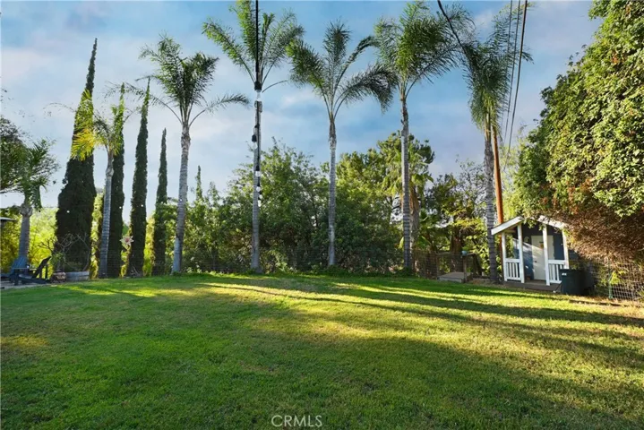 Side Yard