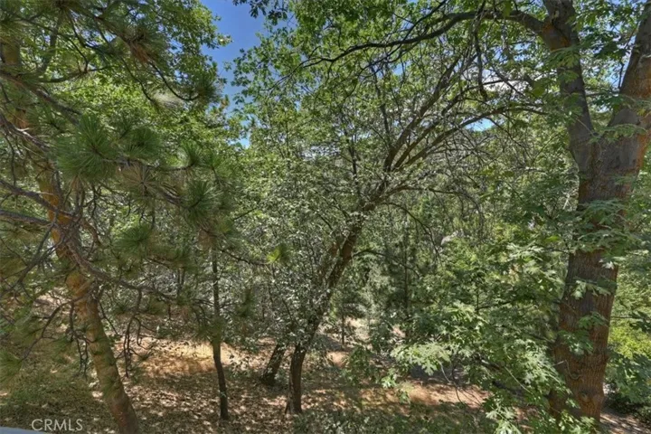 27809 North Bay, Lake Arrowhead, California 92352