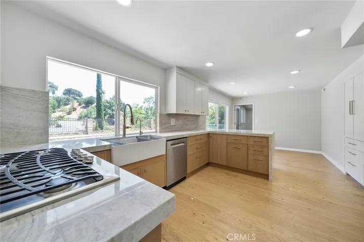 Kitchen view 2