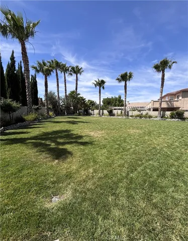 Ready for you to make this yard your own!
