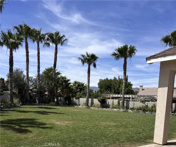 Stunning yard ready...so many possibilities!