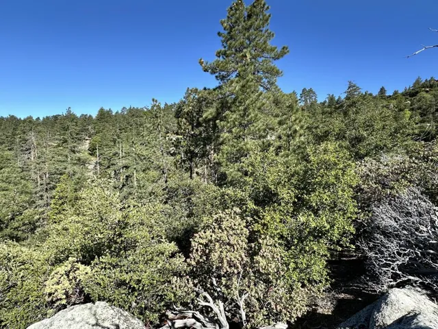 0 Mountain View Drive, Idyllwild, California 92549 — photo 4