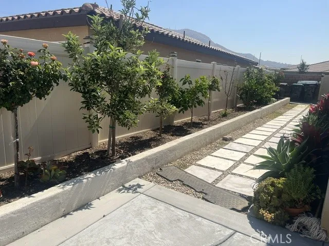 SIDE YARD