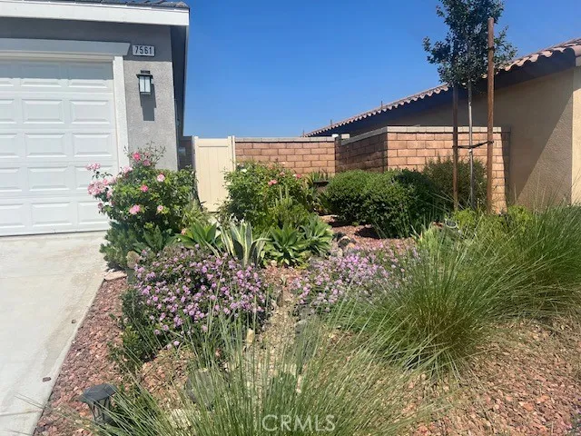 SIDE FRONT YARD