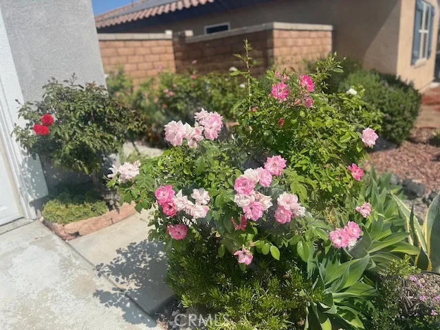 FRONT YARD WITH FLOWERS AND BEAUTIFUL LANDSCAPING