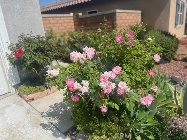 FRONT YARD WITH FLOWERS AND BEAUTIFUL LANDSCAPING