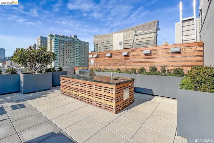 Rooftop deck featuring a built-in outdoor kitchen with a grill and sink, surrounded by large planters with mature greenery