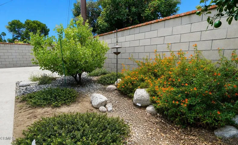 Revised backyard pic