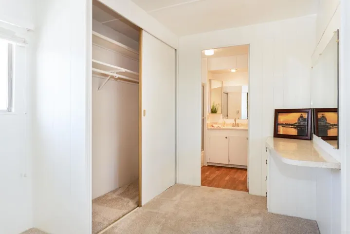 One of the two full size closets & a vanity area!