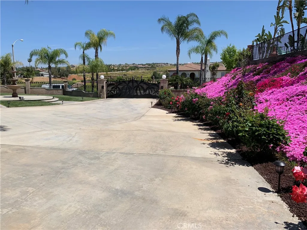 Automatic wrought iron gate and long driveway
