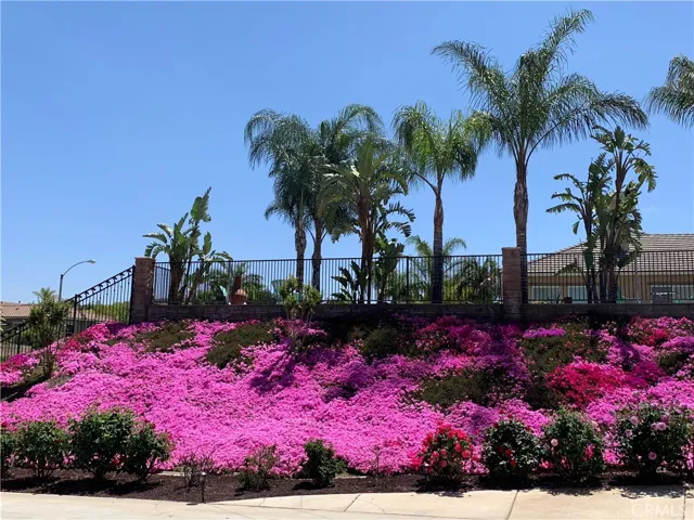 flowers blossom along the driveway in spring