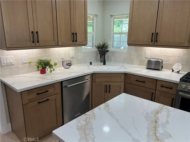 KITCHEN SINK AREA