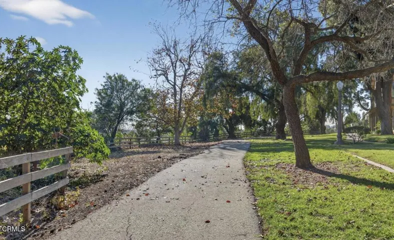 Walking Trails