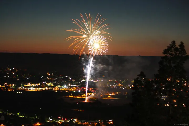 Fireworks and City Lights