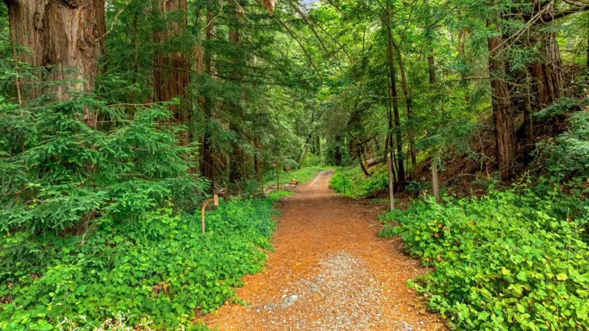 27 Willis Road, Scotts Valley, California 95066 — photo 5