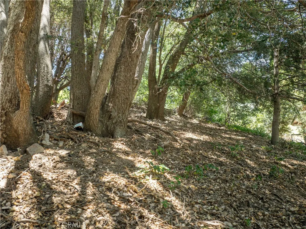 2727 Delle, Crestline, California 92325 — photo 5