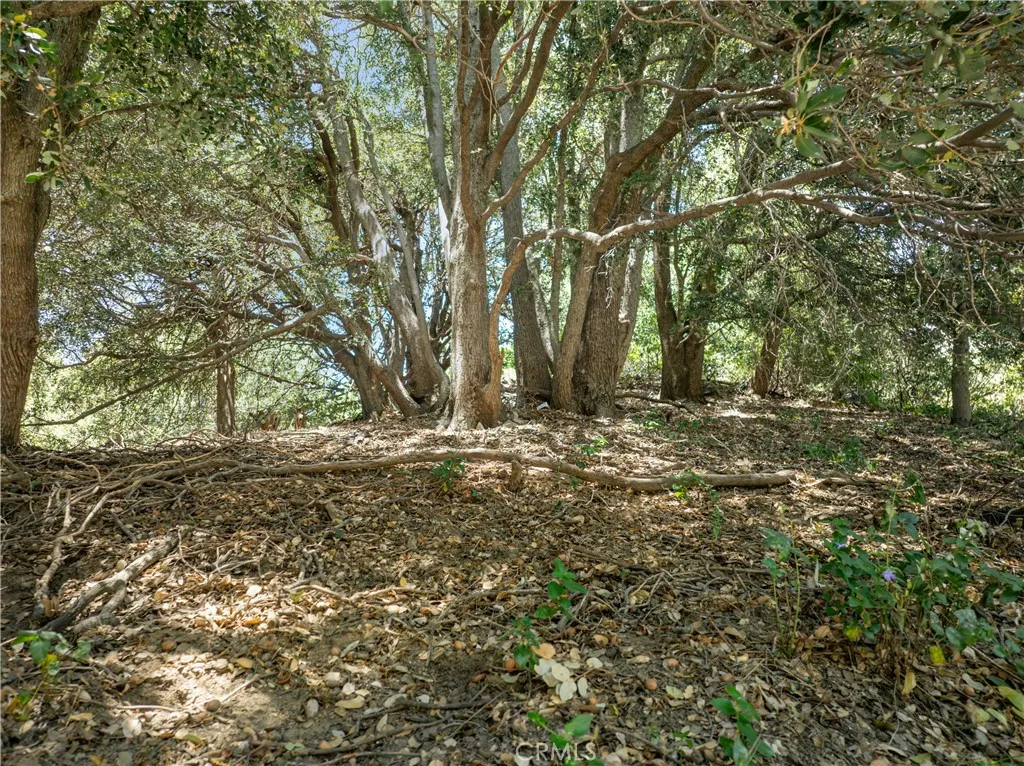 2727 Delle, Crestline, California 92325 — photo 4