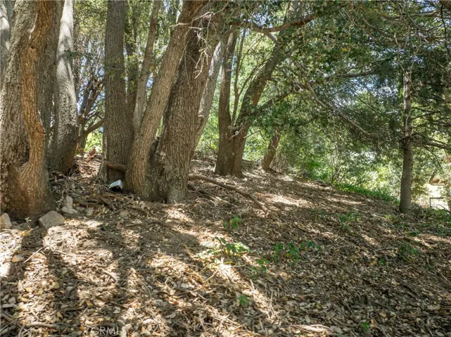 2727 Delle, Crestline, California 92325