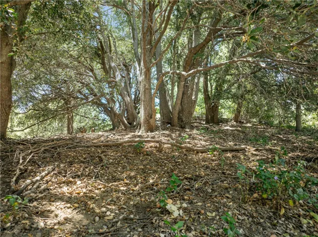 2727 Delle, Crestline, California 92325