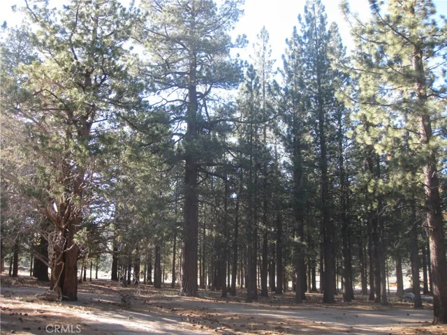 2818 Erwin Ranch Rd, Big Bear City, California 92314