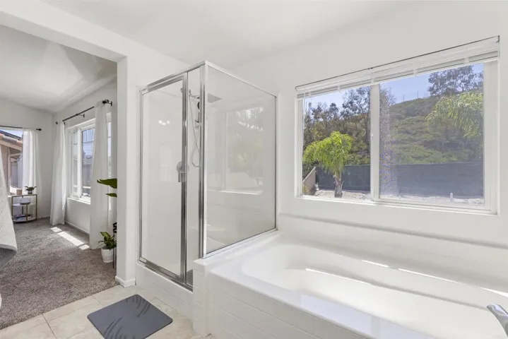 Master Bath/Spa