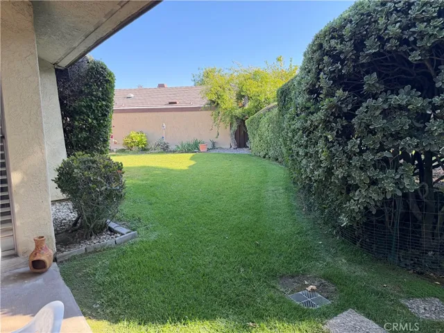 Yard off the patio.