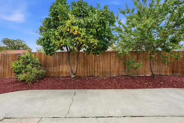 4838 Snell, San Jose, California 95136