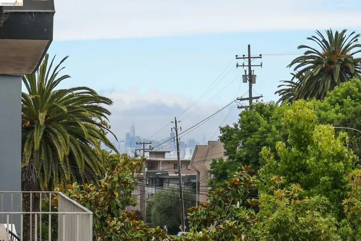 Distant skyline with city buildings visible through lush palm trees and various green foliage