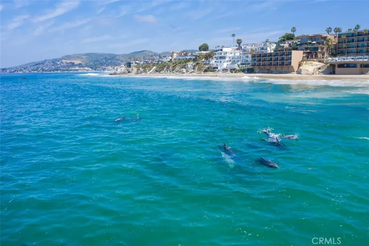 104 Blue Lagoon, Laguna Beach, California 92651