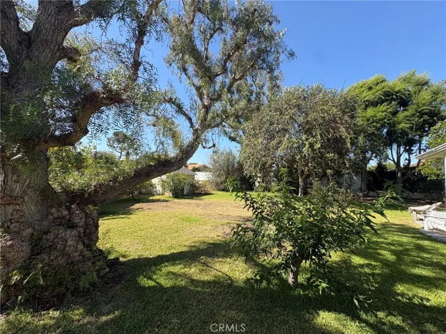12128 Orvillina, North Tustin, California 92705