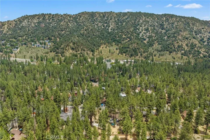 1197 Oriole, Wrightwood, California 92397