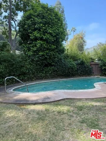 Pool and Yard