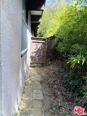 Side Yard