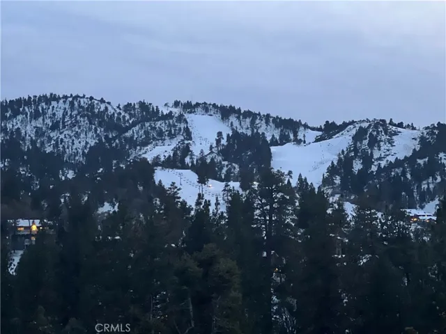 4335 Sand Canyon Road, Big Bear Lake, California 92315