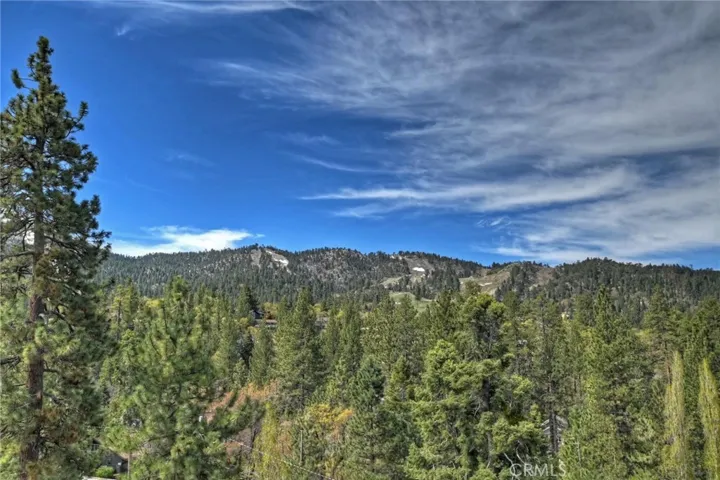 Direct views of Bear Mountain Ski Resort