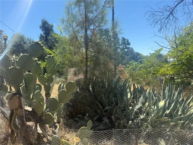 3855 Lakeview, Lucerne, California 95458