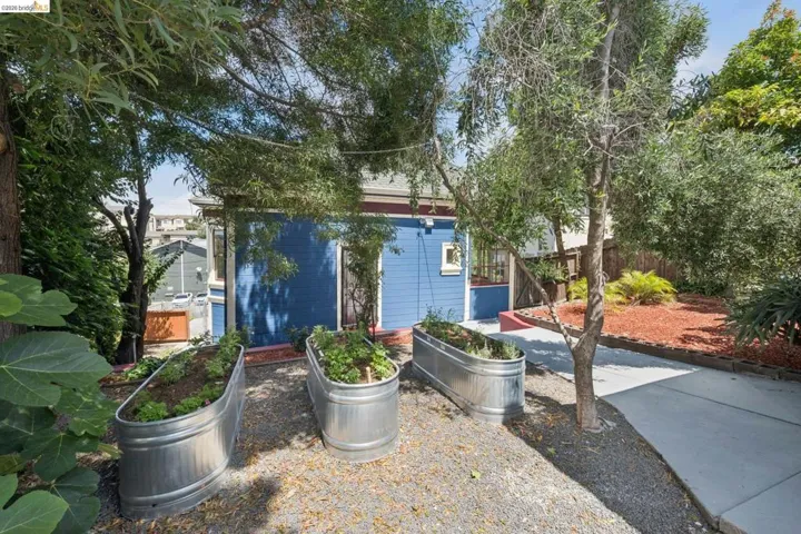 Backyard garden area featuring three galvanized steel raised planters, gravel ground cover, and mature trees