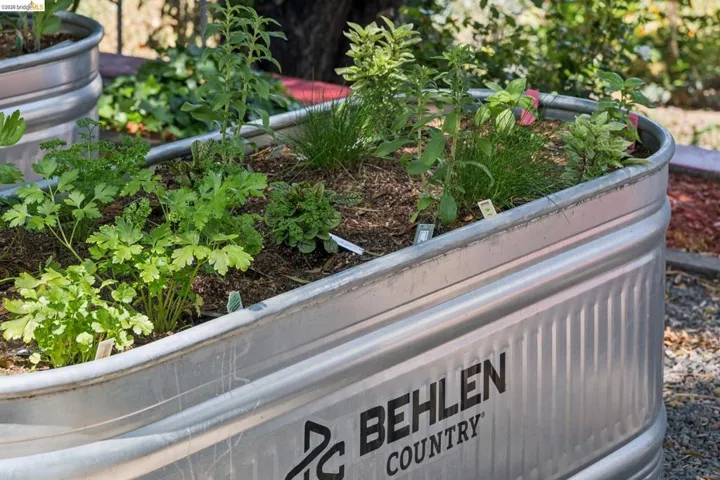 Galvanized metal planter box featuring lush green plants and herbs