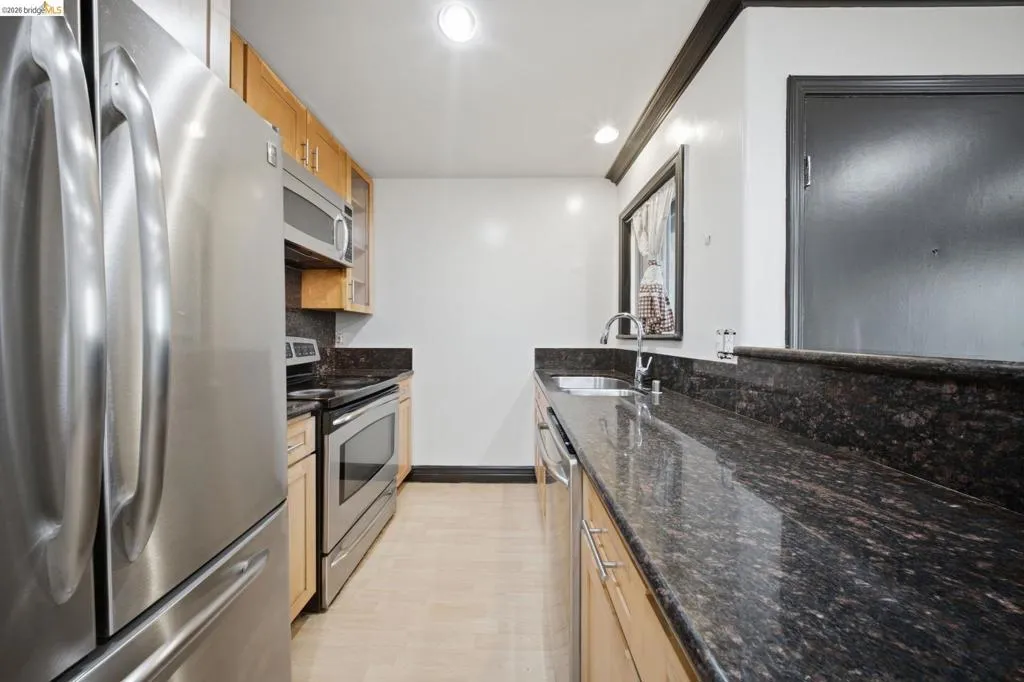 Galley kitchen featuring stainless steel appliances, light wood cabinetry, dark patterned countertops, and a stainless steel sink with a gooseneck faucet