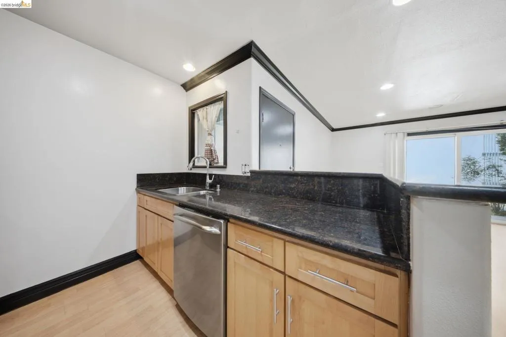 Kitchenette featuring light wood-finish cabinetry, stainless steel dishwasher, dark stone countertops, and a single basin sink with a gooseneck faucet