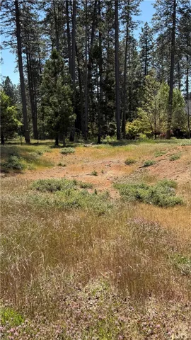 1644 Paradisewood, Paradise, California 95969