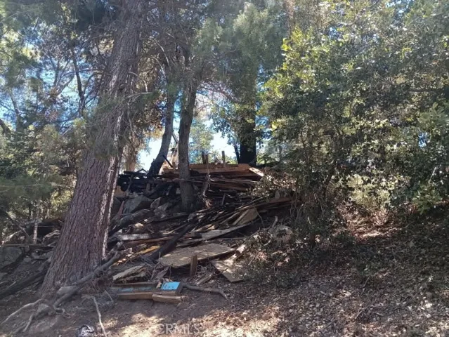 1102 Chateau, Crestline, California 92325