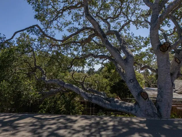 1034 Matador Road, Pebble Beach, California 93953