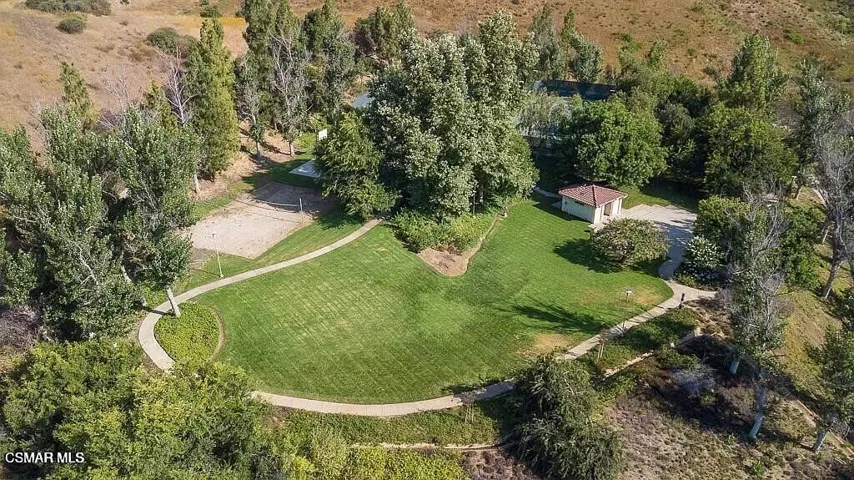 View of trees and grassy area