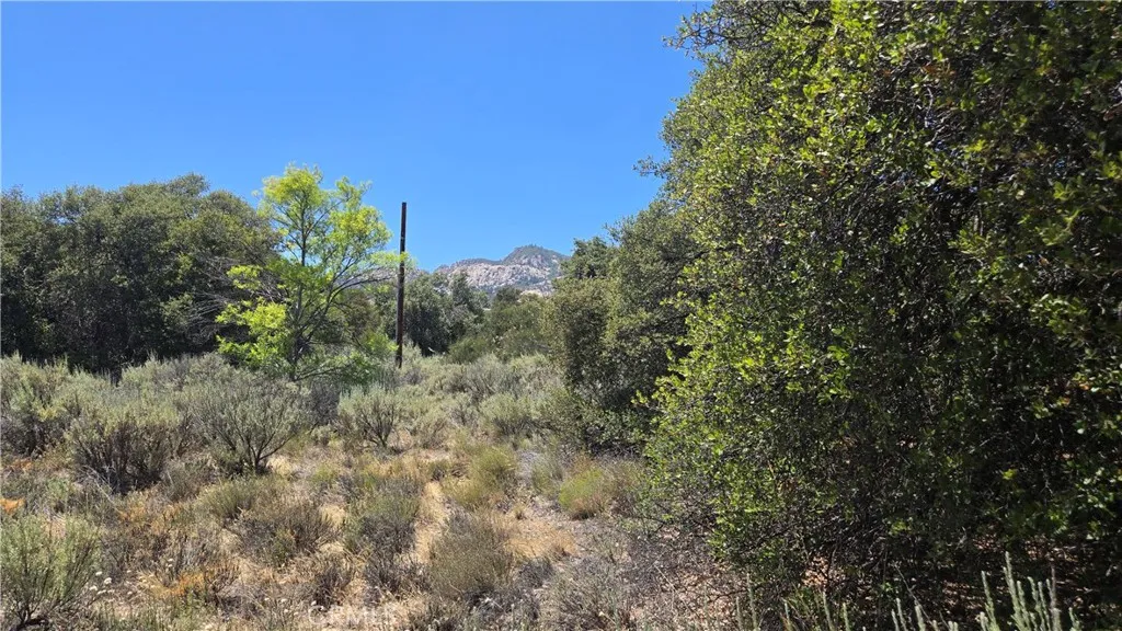 38375 Indian Road, Anza, California 92539 — photo 4