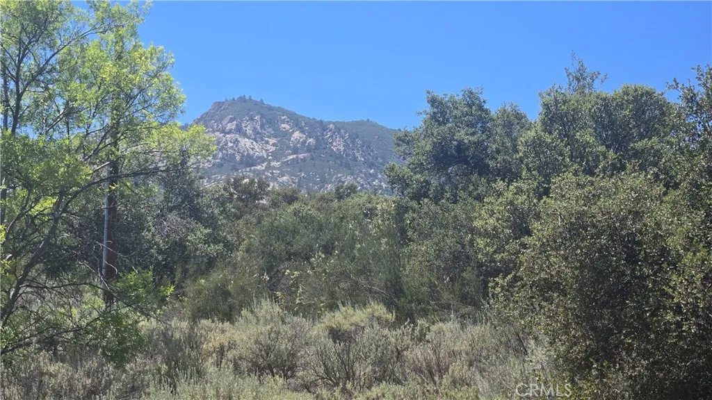 38375 Indian Road, Anza, California 92539 — photo 5